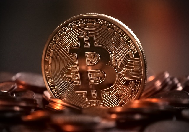 Cripto Casinos
